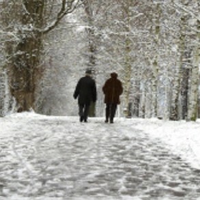 Winter Walking